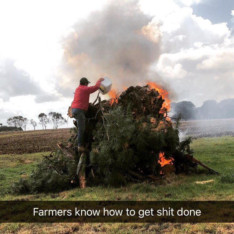 dan_potatoes's tweet image. #burnbabyburn