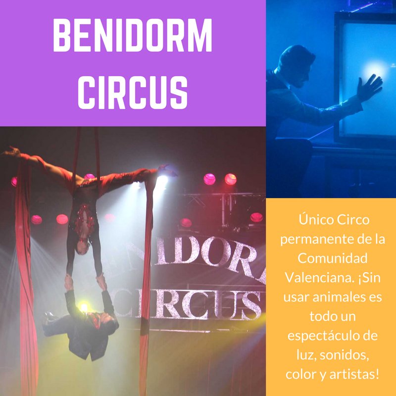 aravolo1's tweet photo. ¡En Benidorm Circus no dejarás de sorprenderte! 😱 🎪  
Compra tus entradas aquí  ➡ https://t.co/cnf9qSK0LZ https://t.co/QSgwo1bhMu