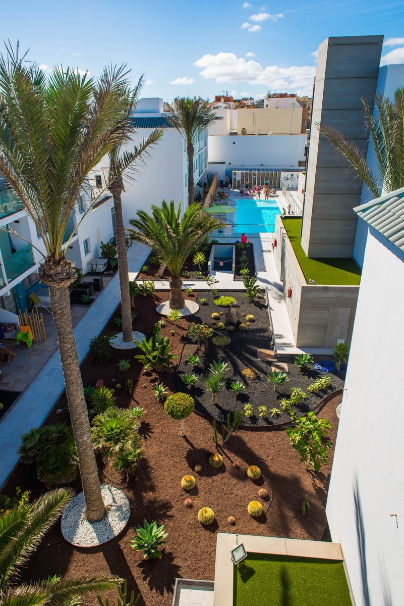 bristolsunset_'s tweet photo. Rise, Shine, Thrive, Repeat 🔃  Urban jungle of @bristolsunset_ for you #holiday routine!

#Fuerteventura #felizjueves #eternalsummer https://t.co/D5sc6a6cJM