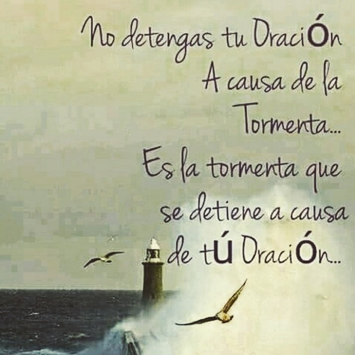 Rama Fem PRO tweet media