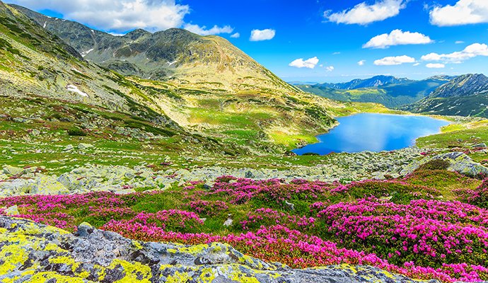 BradtGuides's tweet photo. 13 lesser-known #European national parks that need to be on your bucket list https://t.co/x2BiTy7Xsq #trlt https://t.co/W9N9f4upB8