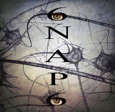 jdadijonhand's tweet photo. Retrouver un extrait du concert gratuit #ProgMusicale de 6NAP6 à l'occasion du match contre Metz ! https://t.co/nJHNjwgREH https://t.co/cVtvewQtSL