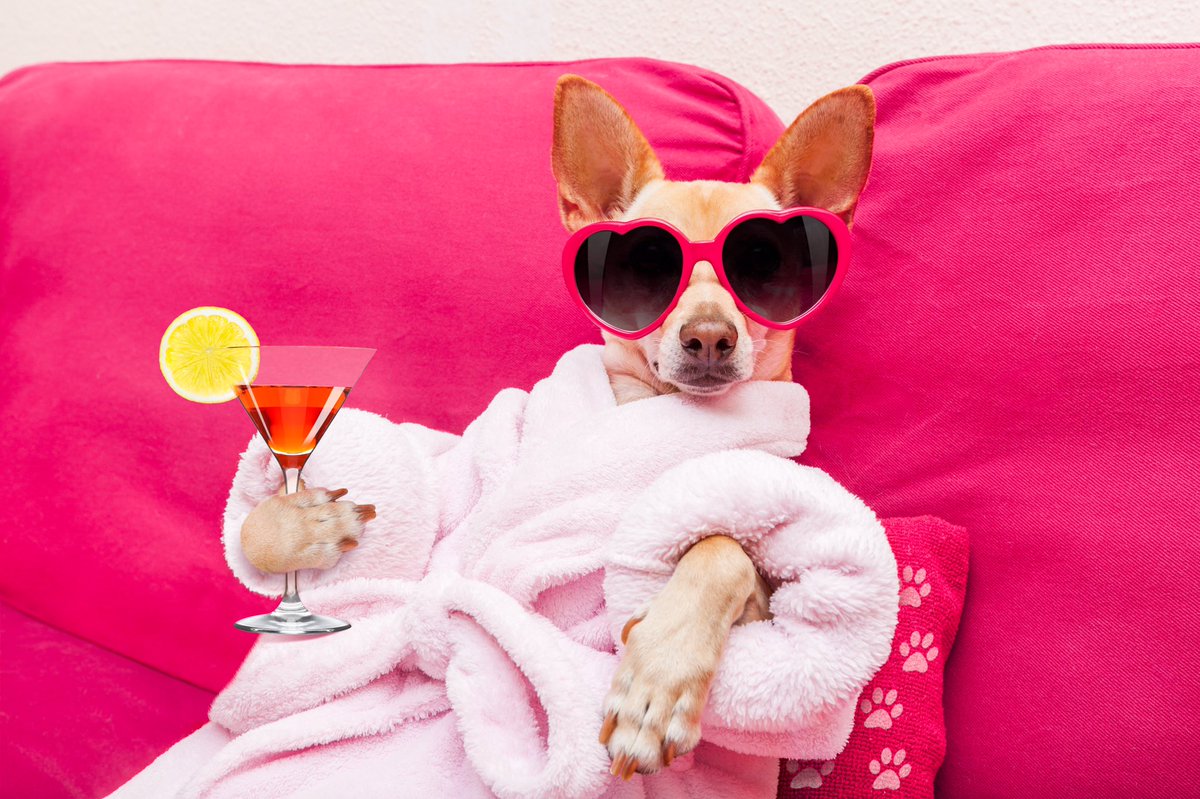bio_defence's tweet photo. Make yourself a priority once in a while ❤️ #LoveYourself #innerpeace #cute #relax #BeHappy #havefun #Wellbeing #enjoy #healthylifestyle https://t.co/VdSxtFbYIf