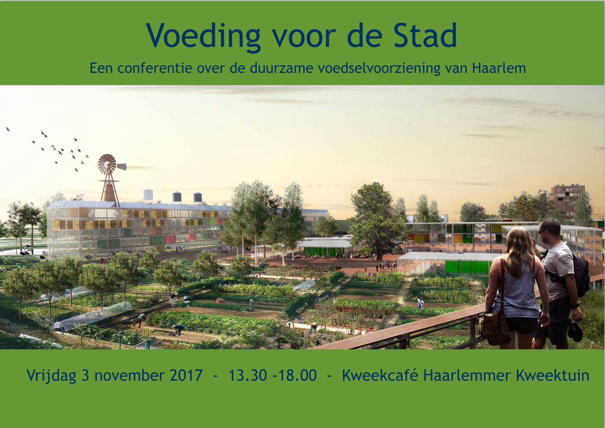 Nederlands Hout tweet media