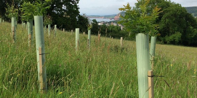 PerrieHale's tweet photo. Are you a landowner looking to plant woodland in the Southwest? This Forestry Commission event may be of interest https://t.co/8X9SfHt3LS https://t.co/vCmwISnNmx
