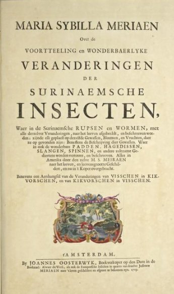 ebook weltwirtschaftliche veränderungen und ihre konsequenzen für die strukturpolitik untersuchung über änderungen und ergänzungen in der strukturpolitik unter besonderer