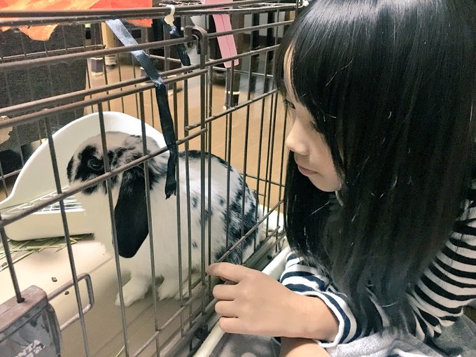 Twitterのコスプレ画像2