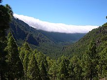 gonzalopperea's tweet photo. Aprobado en pleno @CabLaPalma la creación de la Comisión de Evaluación Ambiental de La Palma , un paso muy importante para nuestra Isla. https://t.co/5SNiBeWXiz