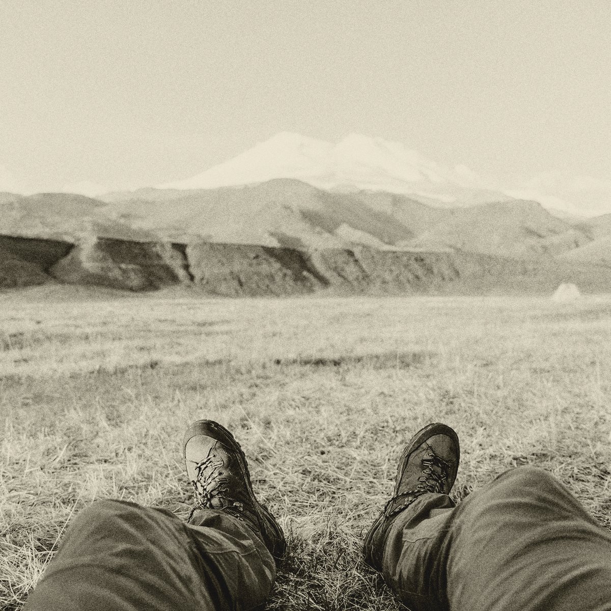 WainwrightGoldenBeer tweet media