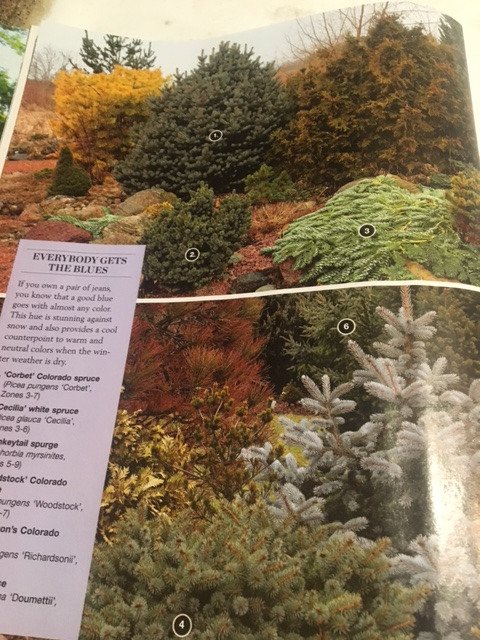 Extra! Guess who’s a feature garden in this edition of <a href="/finegardening/">Fine Gardening</a> “Winter Colour Wish List” with distinguished <a href="/TBG_Canada/">TO Botanical Garden</a> <a href="/RBGCanada/">Royal Botanical Gardens</a>