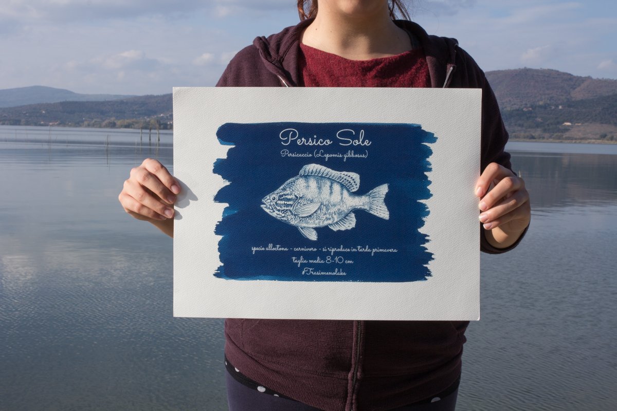 Lucetipo tweet media