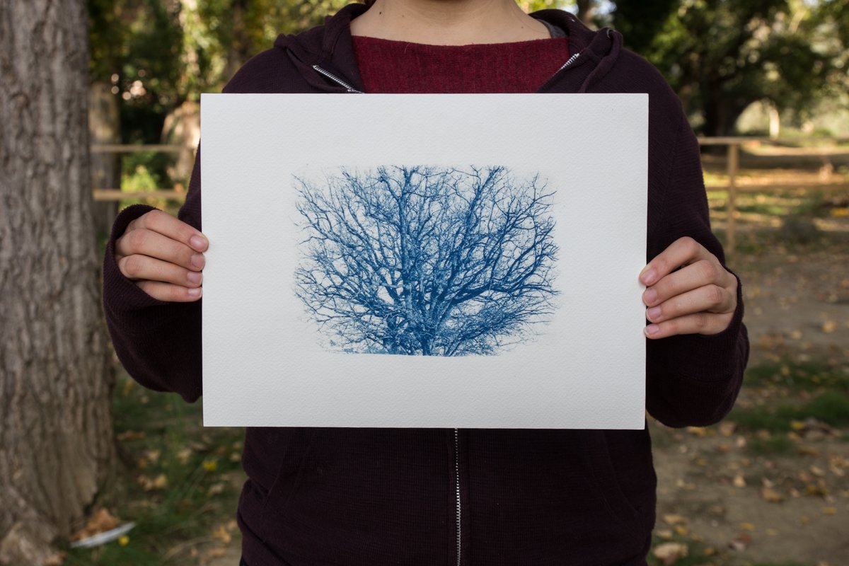 Lucetipo tweet media