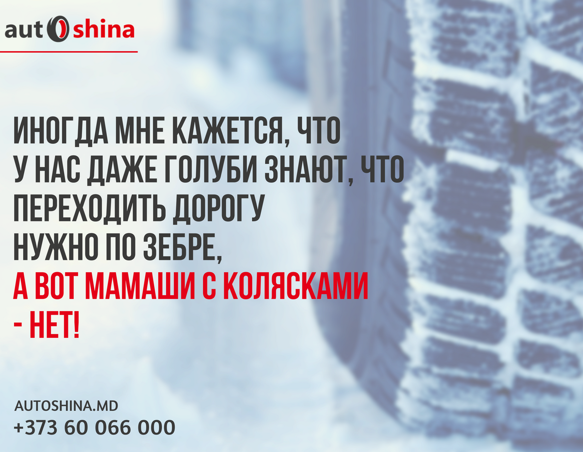 AutoShina's tweet image. 