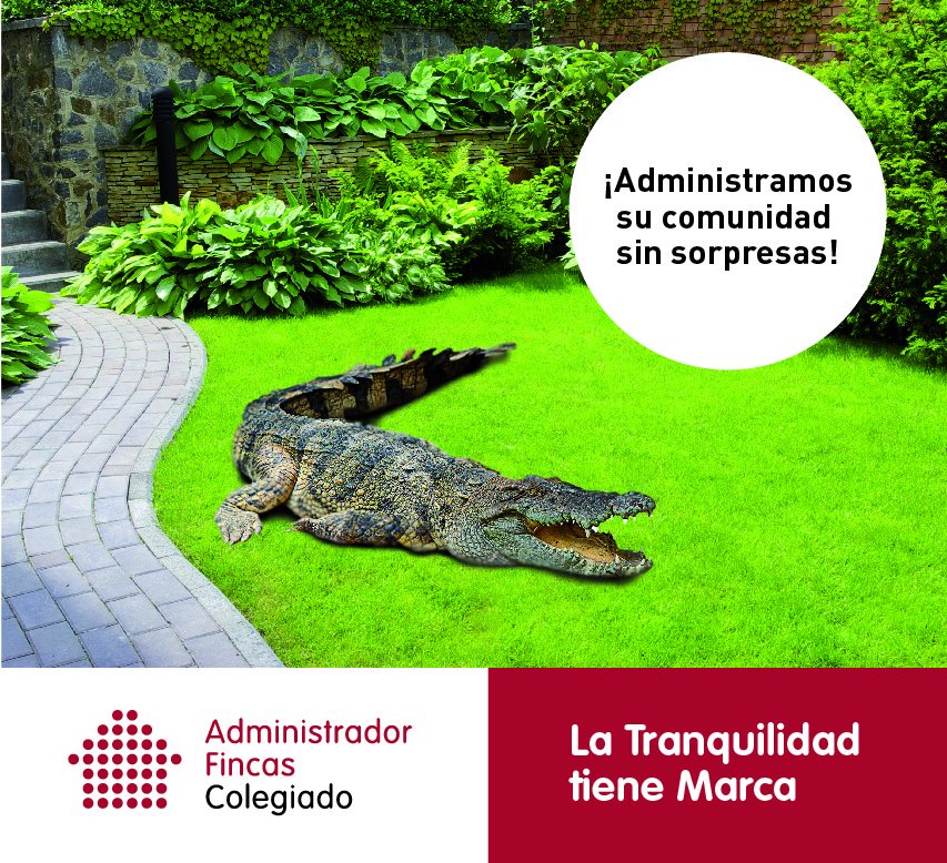 jferiaadmi's tweet photo. Administrador de Fincas Colegiado
#latranquilidadtienemarca #AFColegiado @AdmFincasSevill @ConsejoAndAAFF https://t.co/F6jtpO6MW1