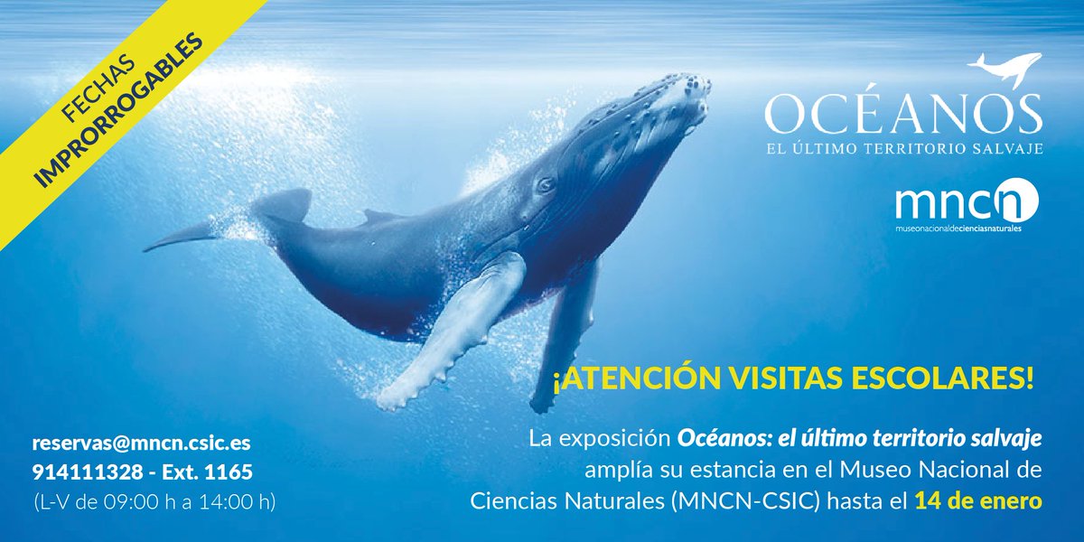Magisnet's tweet photo. Despierta tu conciencia en @OceansExhibit .El  @MNCNcomunica te muestra un mundo nuevo bajo el mar #Oceanos https://t.co/fsuPbpXc7b https://t.co/VYukyw7ssr