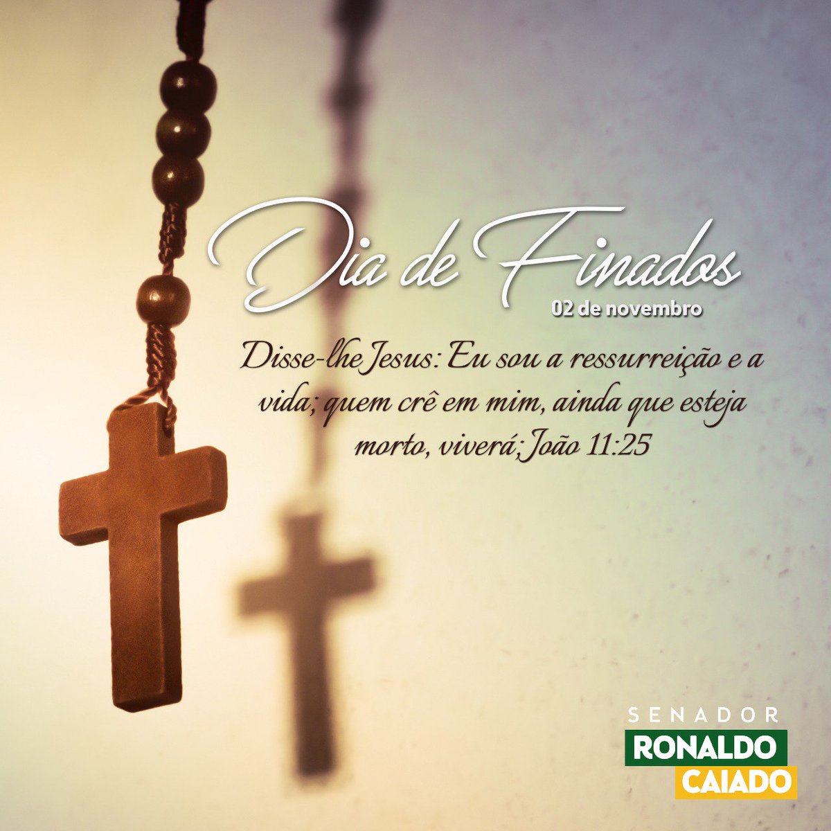 Ronaldo Caiado on Twitter: Ronaldo Caiado on Twitter: