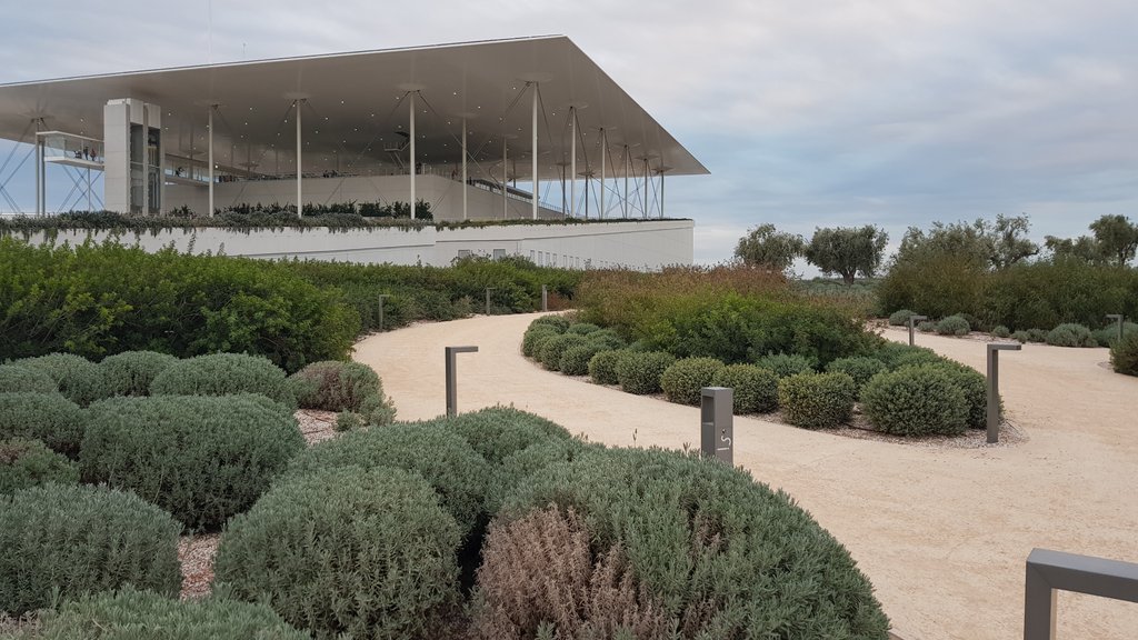 sergiocumitini's tweet photo. good example as #Mediterranean plants are even suitable for city parks in arid areas @Dnalandscape  great design clever choices in Athens https://t.co/TawUS0R8iq