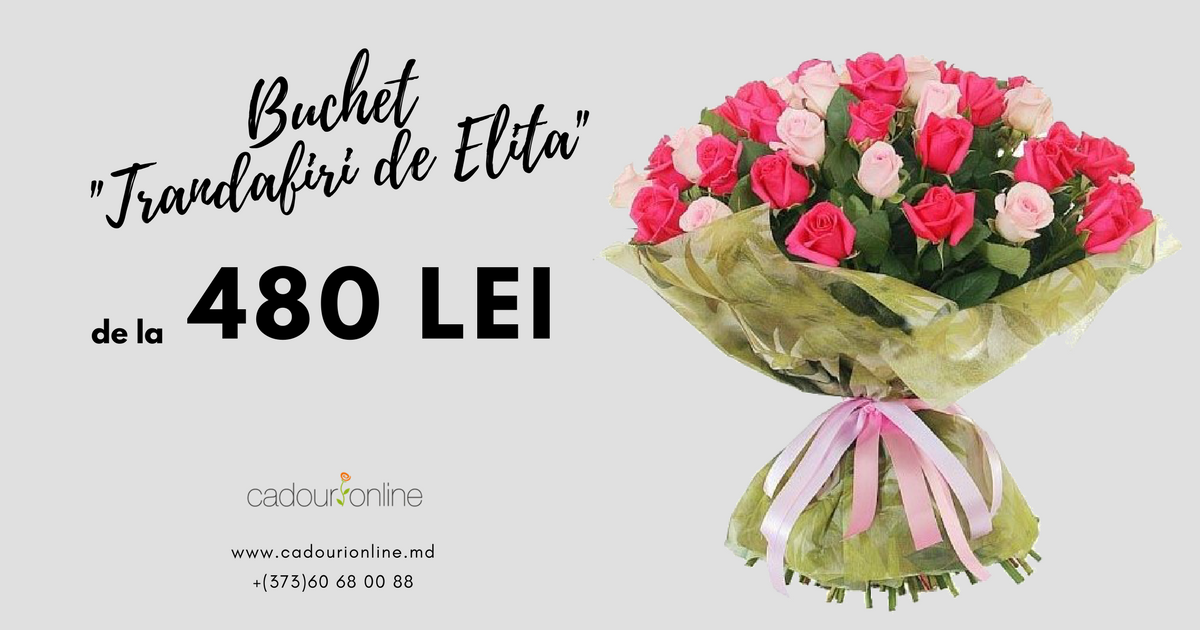 CadouriMd's tweet photo. 💚 Curieri politicoși și eleganți
💞 Livrăm în toată Moldova
💝 Lucrăm 24/24
🛒 Comandă acum:
➡ https://t.co/6oqpghOhUV
➡ +(373)60 68 00 88 https://t.co/JraIhO2rsC