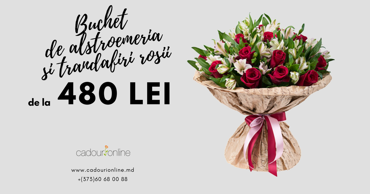 CadouriMd's tweet photo. 💚 Curieri politicoși și eleganți
💞 Livrăm în toată Moldova
💝 Lucrăm 24/24
🛒 Comandă acum:
➡ https://t.co/UUgOg2xHM6
➡ +(373)60 68 00 88 https://t.co/OSKq0tO1lC