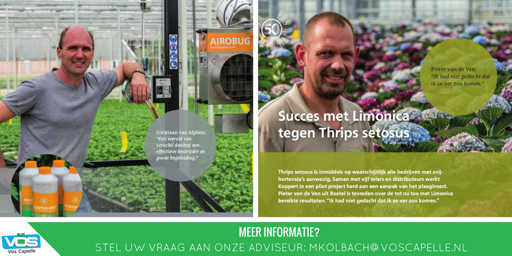 voscapelle's tweet photo. Interviews met klanten in het Biojournaal van @KoppertNL: https://t.co/VWu6XlocAf. #sierteelt #biologischebestrijding met @pietervandeven https://t.co/eGpyNmRIcQ