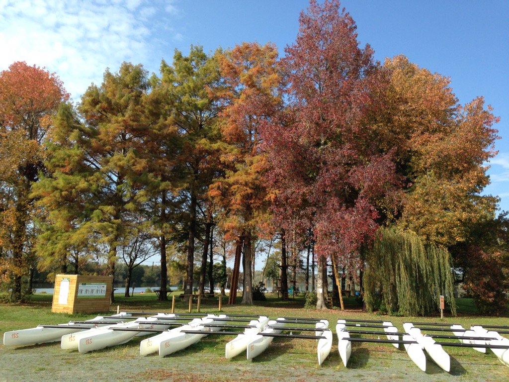 PUCMP2004's tweet photo. Les belles couleurs de l'automne https://t.co/s5Actadtsg