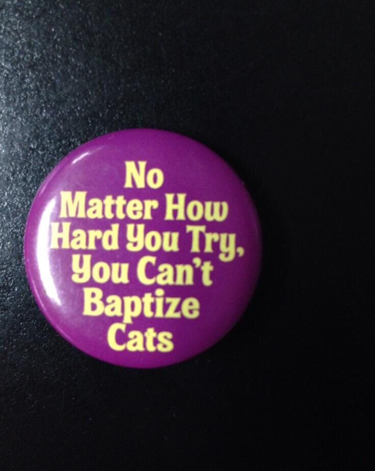 shit_mormonssay's tweet image. This is why Pagans worship cats. #mormonproblems