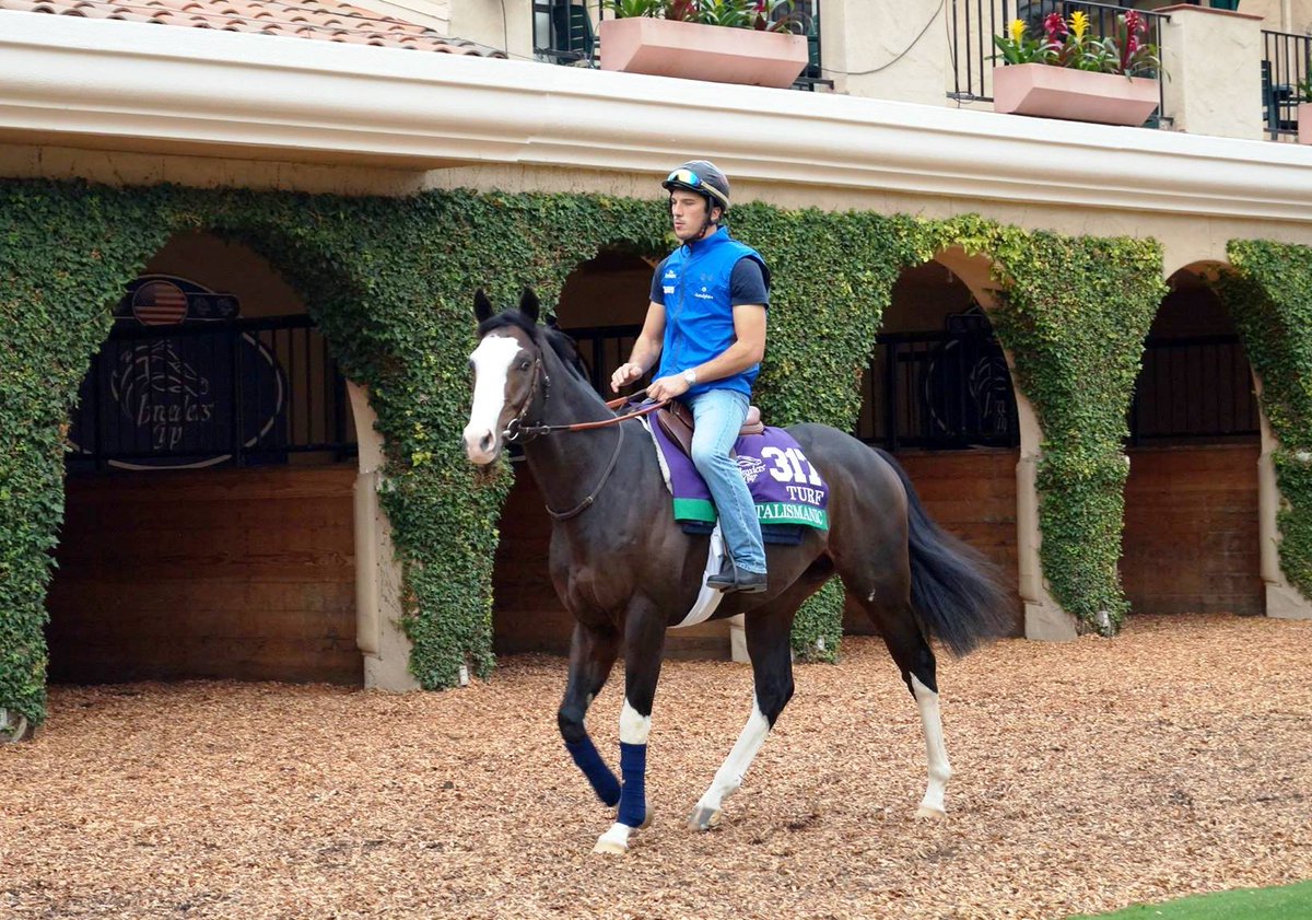 FRBC_Official's tweet photo. Best of luck to #FrAmbassadors #Karar #Senga #Talismanic #Zelzal & connections ahead of the @BreedersCup! π«π·ππΎπ
Credit:@sophiepteixeira https://t.co/3b54FPKkRJ