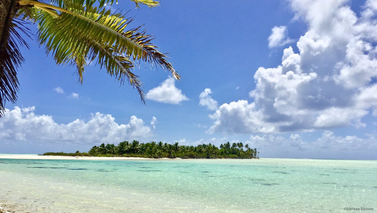 Air Tahiti Nui FR tweet media