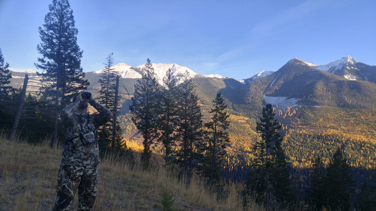 BCBackcountryHA's tweet photo. #hunting for mule deer in our beautiful province
#BCBHA #huntingBC #keepitpublic https://t.co/x0bB6dPg8W