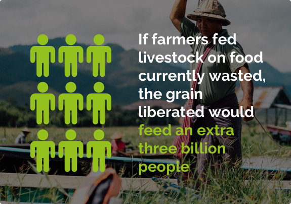 wearefoodrise's tweet photo. Let's feed #foodwaste to pigs! Check out our new app https://t.co/ouomAt8r43 #WednesdayWisdom https://t.co/JUhGE37Ec6
