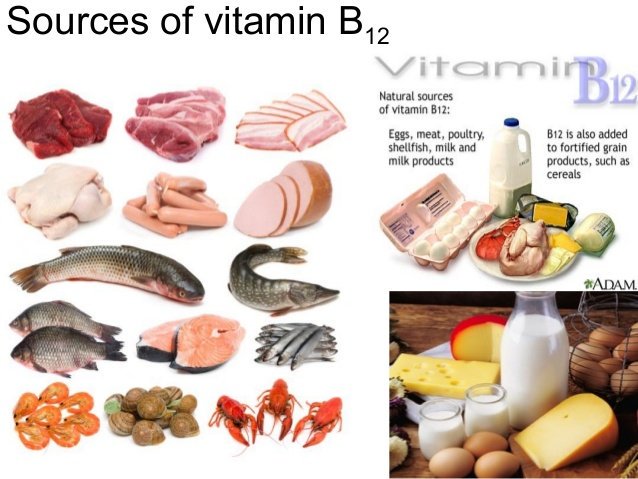 Qué frutas tienen vitamina b12