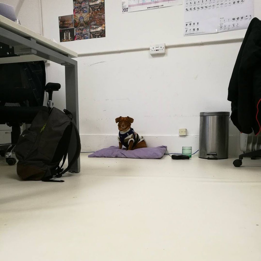 DC at Light Corporation tweet media