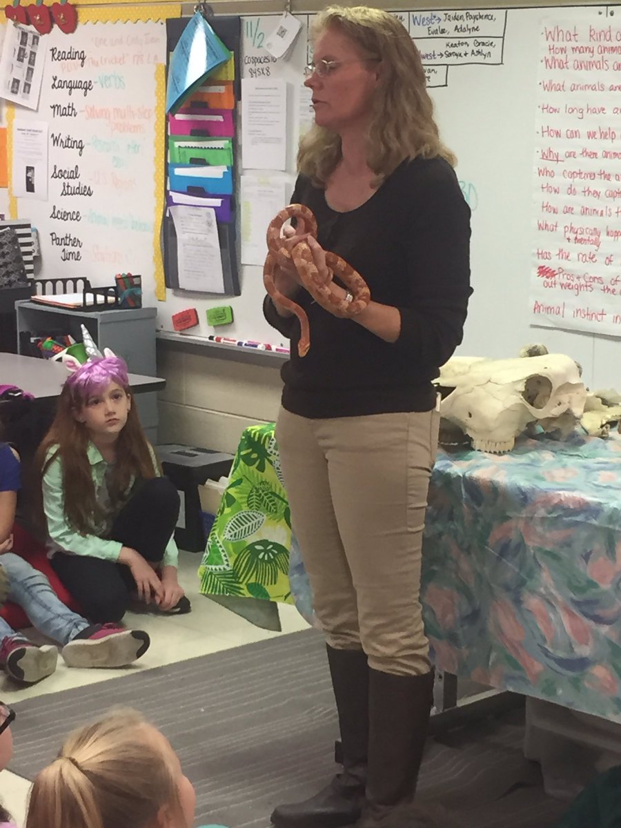 Shewell_In_6th's tweet photo. Mrs. Casey brought hissing cockroaches, a corn and milk snake to show the kiddos! #ProtectDontNeglect #PBL #PkwyStrong #SJSDProud #fourthies https://t.co/uKNeVUAY71