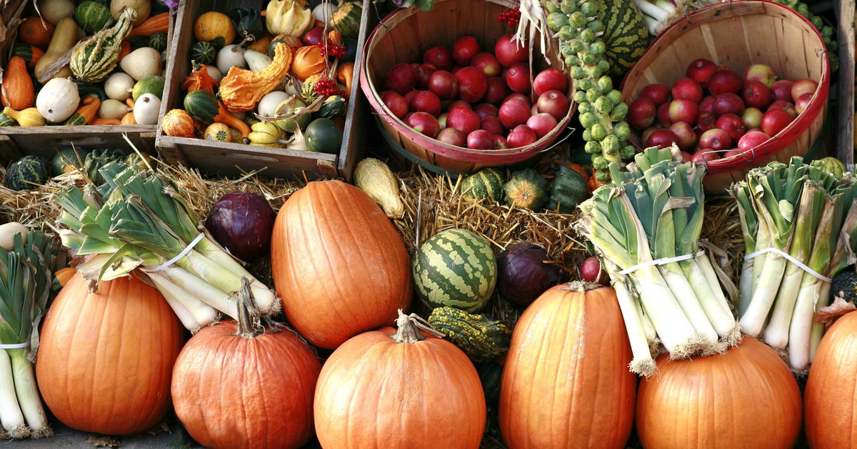 Whitney_Farms's tweet photo. Don't think fall foods are nutritious? Squash that myth. 
https://t.co/eU1E01DMi2 https://t.co/mdVdOLLKSf