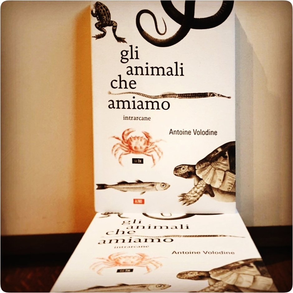Senza amore tu auspicherai la fine delle cose
con amore auspicherai l'inizio del ricordo, l'inizio del dolore
#GliAnimaliCheAmiamo #Volodine