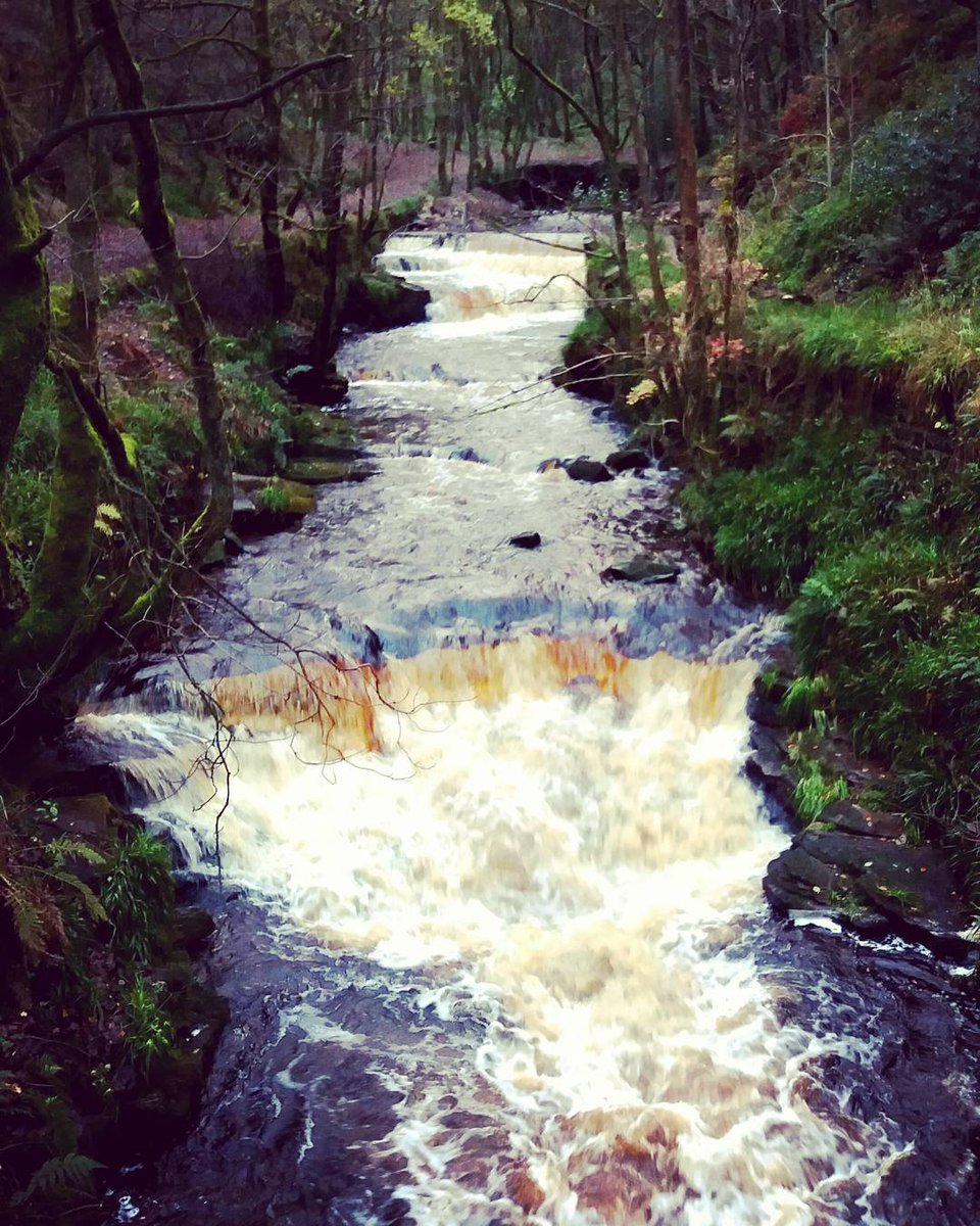 flexpartners's tweet photo. Images of Hebden Bridge where Flex is based. #calderdale #westyorkshire #water #canals #rivers #nature #outdoors https://t.co/5wD3QSdJbW https://t.co/QWJZg9czTB