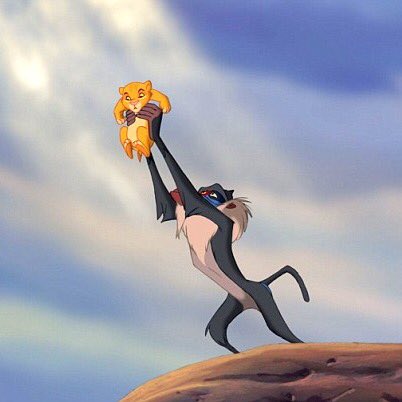 catsthemusical's tweet image. We. Just. Can't. Wait. 🦁 #TheLionKing #CatsBroadway