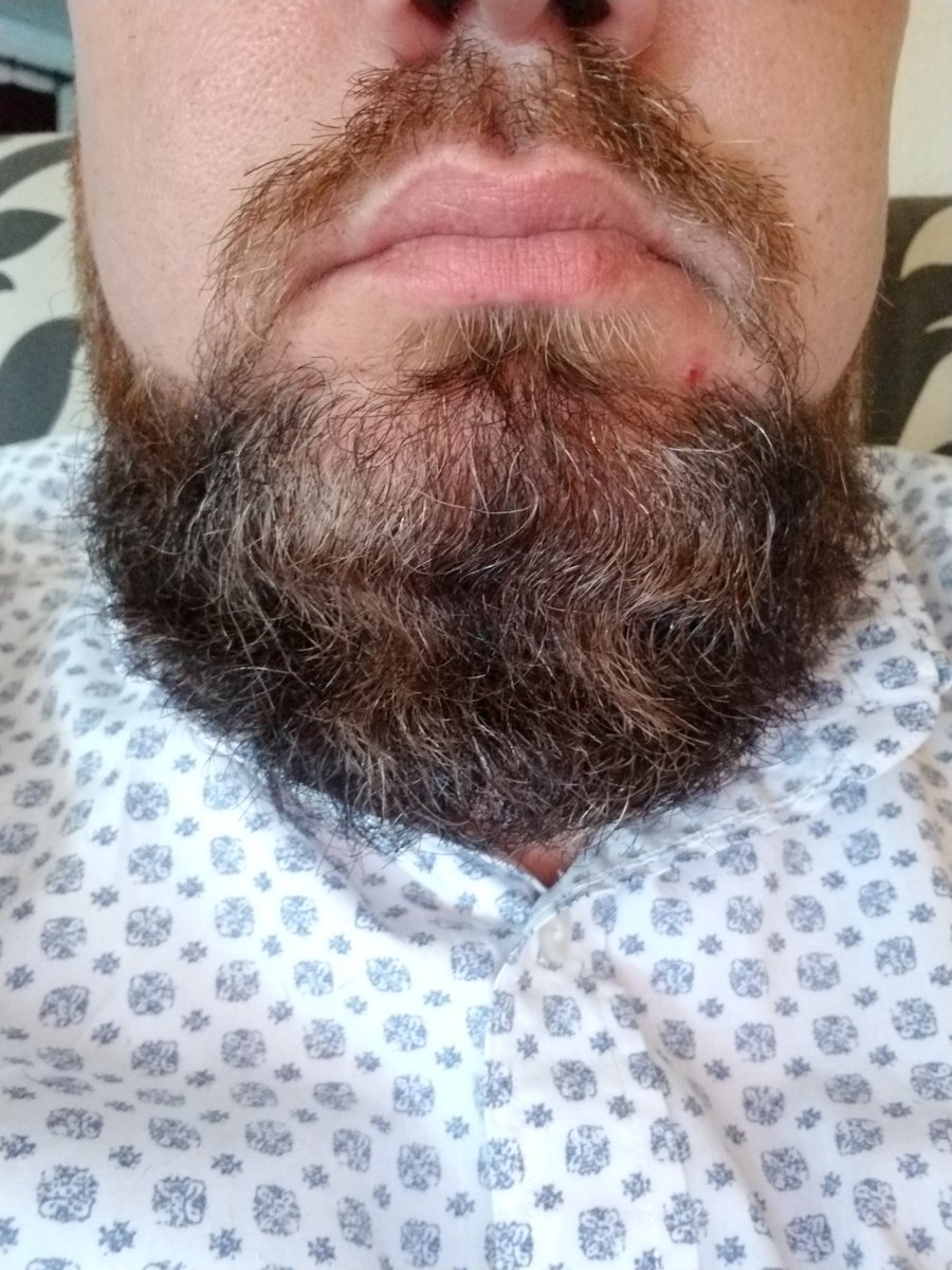 The beard groweth. 
#beard #BeardGang #beardtwitter #BEARDS #pogonophile #Beardsincolor