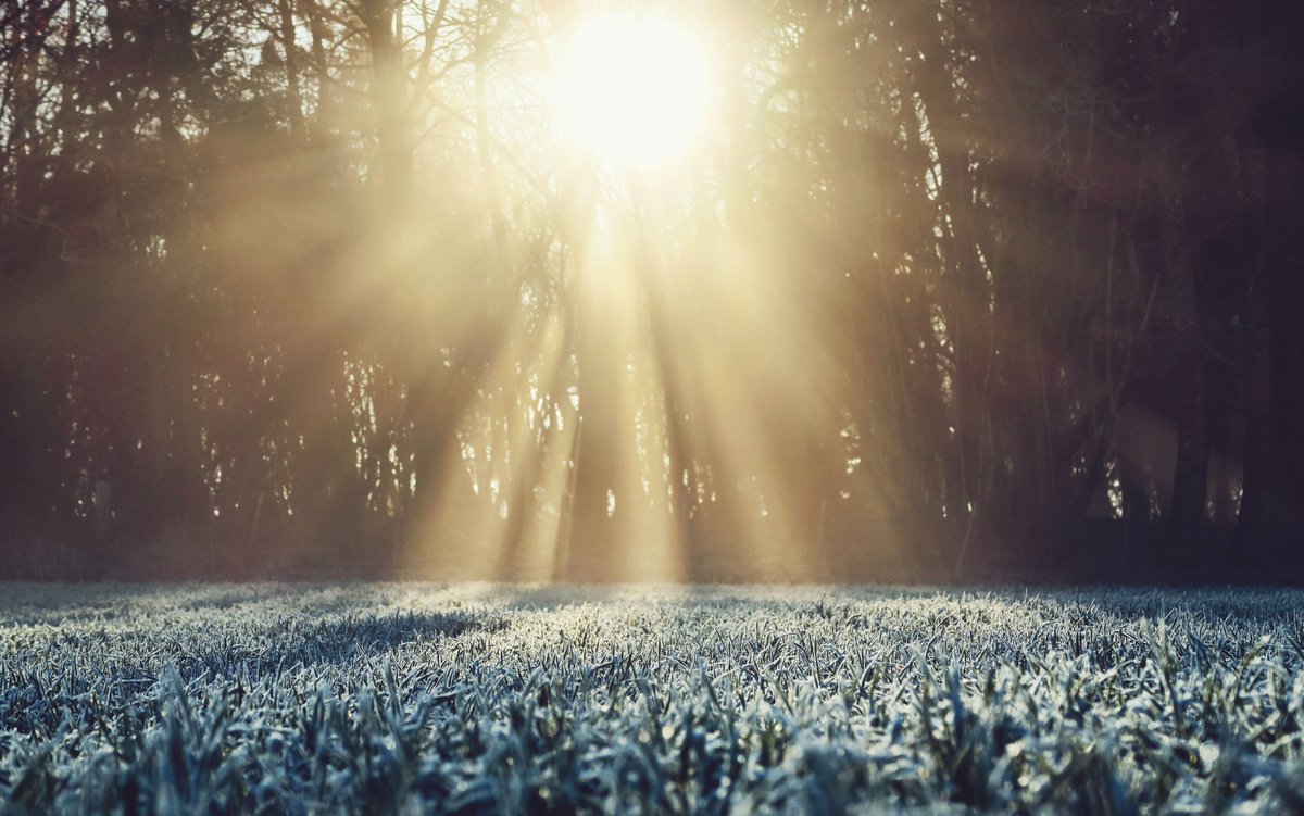 tcddublin's tweet photo. Today is Vitamin D Day! 

Why is that important, and what is Trinity doing about it? Check out: https://t.co/ZxeRjgNrU4 #vitamindday https://t.co/x8bBH2Wrmt