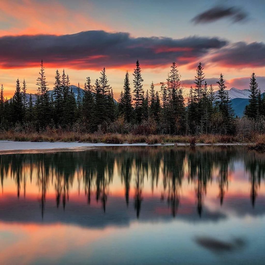 edaccessible's tweet photo. Photo by Mark Jinks @natgeophotos ・・・
Calm waters at Bow River - Alberta, Canada 🇨🇦 #love #TagsForLikes #TagsForLi… https://t.co/LXZmL1YJh8 https://t.co/mlx6T9CwVG