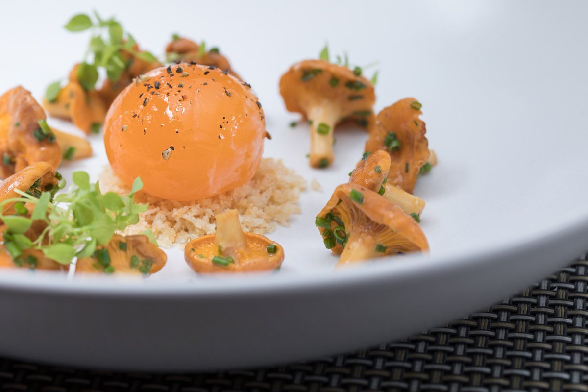 mikeshaw222's tweet photo. @TheDiningRm duck yolk, girolles https://t.co/cBDGH7UOOa