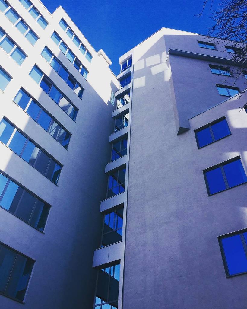 LubaUram's tweet photo. Cute reflections #closeness #viewfromthebottom #backyardview #onebank #gyueshevo14 https://t.co/nEQYZDeqZI https://t.co/u0huRO561C
