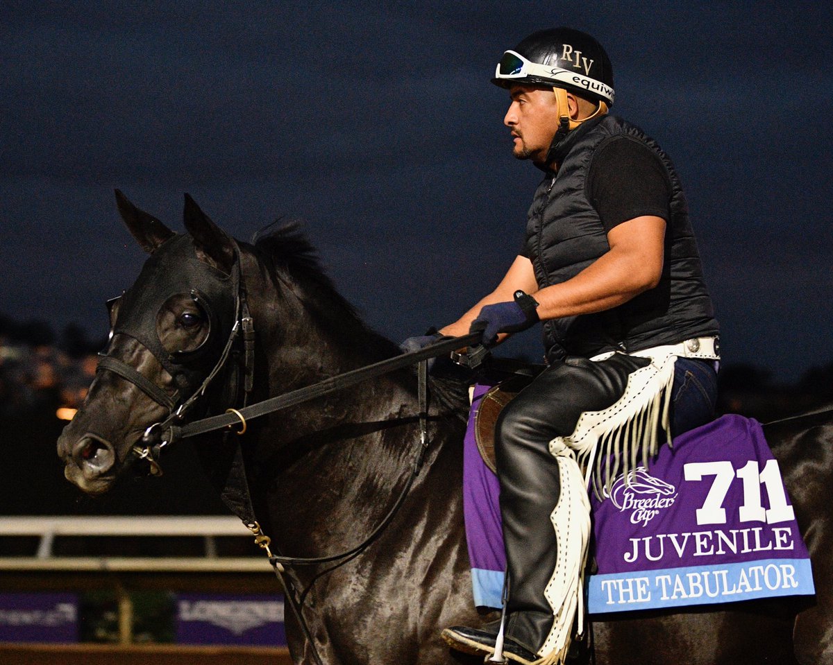 darbydanfarm's tweet photo. The Tabulator by DIALED IN  checked out Del Mar before dawn in preparation for the Breeders Cup Juvenile! Photo by @MakMathea4 #DI #BC17 https://t.co/zA55O8BT0R