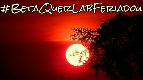 Felicidade é a combinação de sorte com escolhas bem feitas! #BetaQuerLab #BetaQuerLabFeriadou