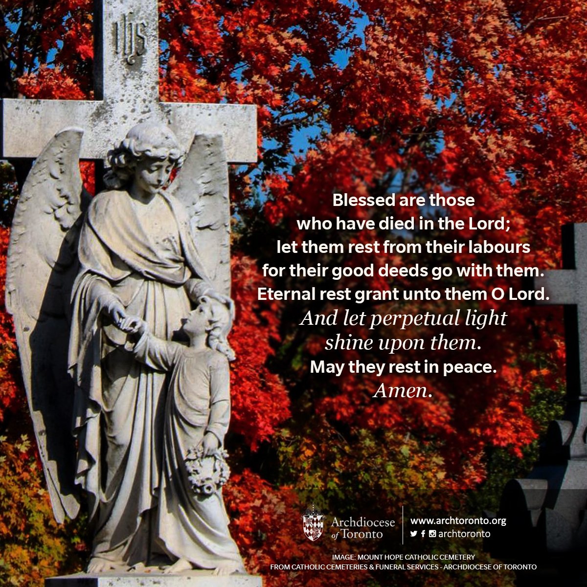 Archdiocese of Toronto tweet media