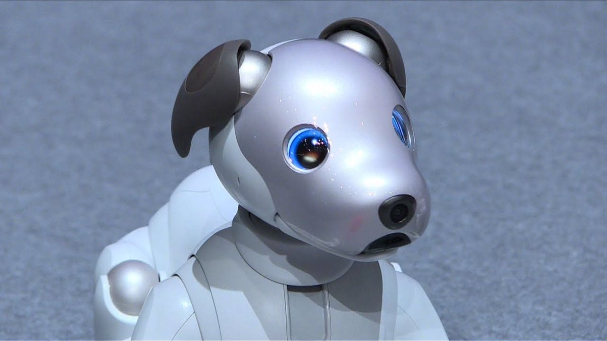 IgnitecStudio's tweet photo. Aibo - #Robot dog returns - @Sony just revealed that they are bringing back the beloved pup  https://t.co/nh618WGCSV #Sony #Tech #Ignitec https://t.co/lJudQwyscb