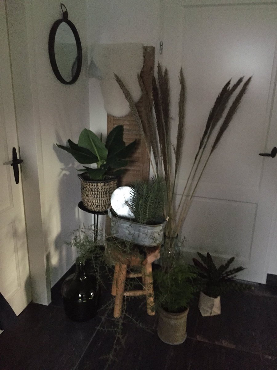 carlien van veen (@carlienvanveen) on Twitter photo 