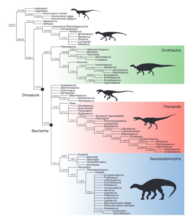 Juan C Opazo Untangling The Dinosaur Family Tree T Co Adfqpeoemq Juan C Opazo Untangling The Dinosaur Family Tree T Co Adfqpeoemq