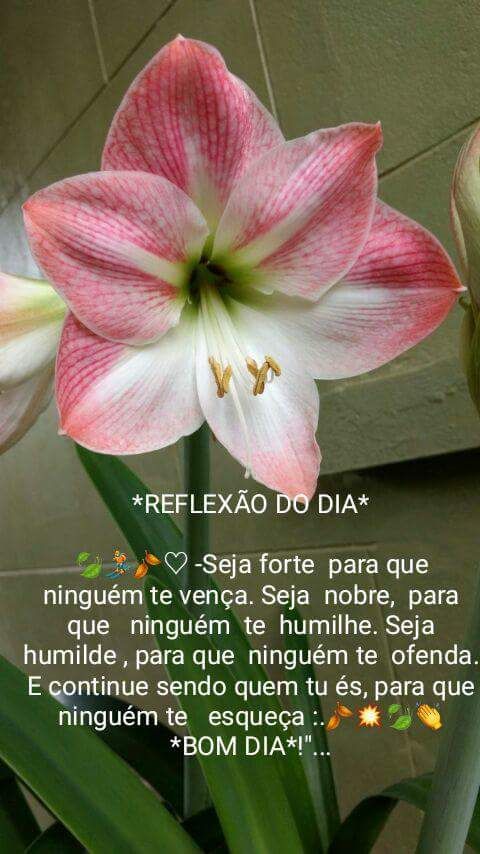 anderson nunes  Beta (@anderson40beta) on Twitter photo 