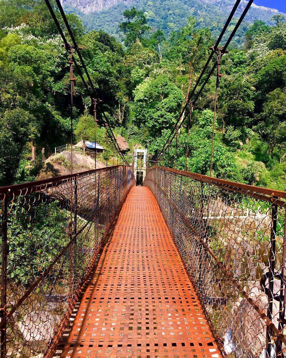 On the way to Living Root Bridge - Meghalaya
P.C. Manu Gowda